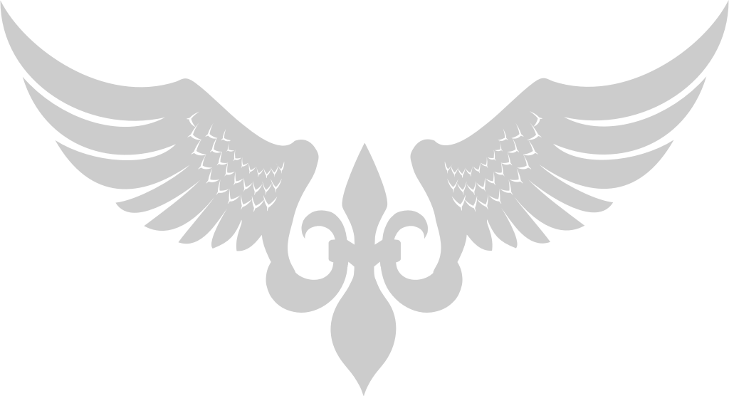 Wings heraldic vector