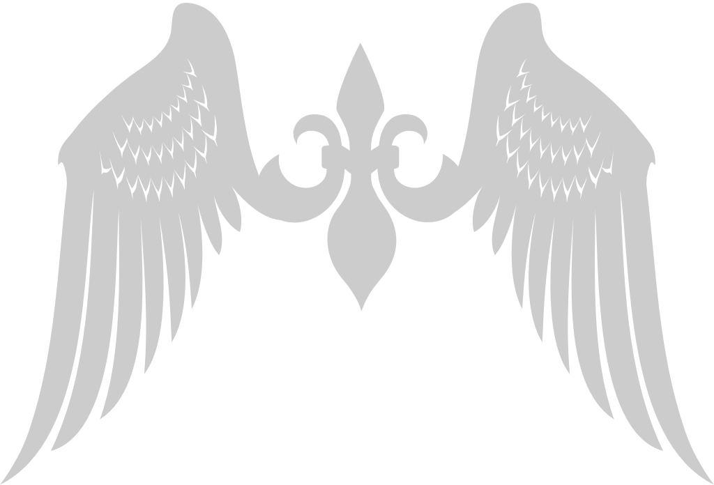 Wings heraldic vector