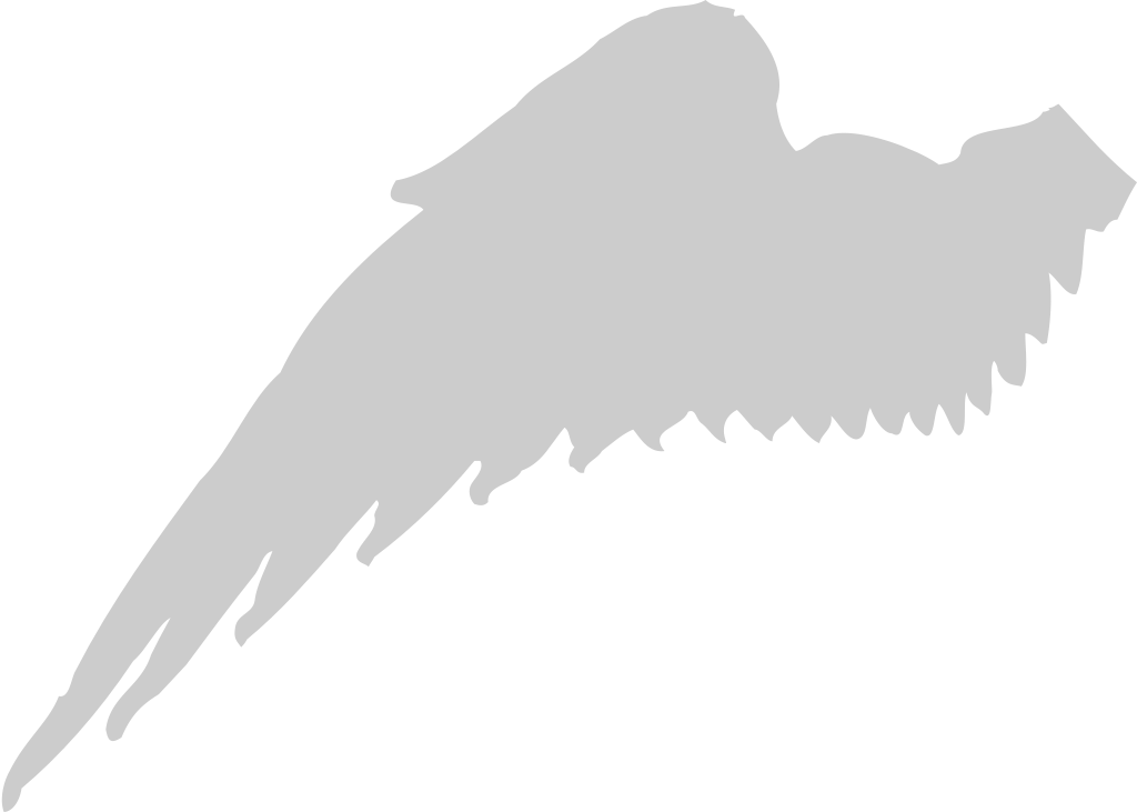Wings vector