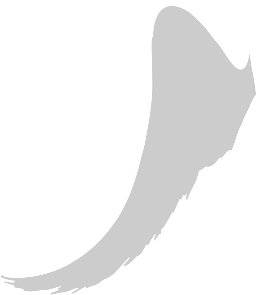 Wings vector