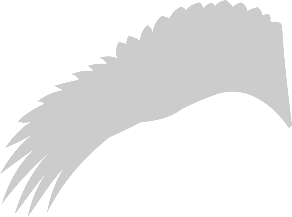 Wings vector