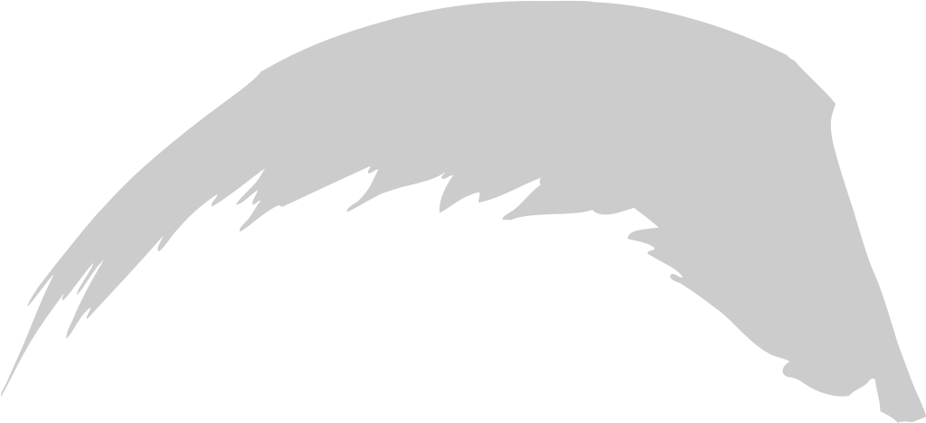 Wings vector