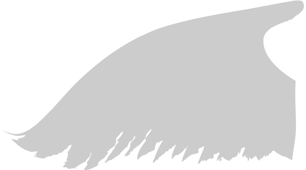 Wings vector