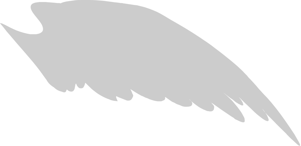 Wings vector