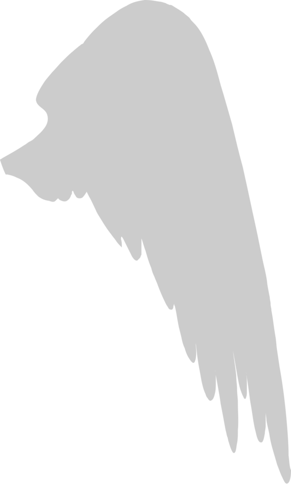 Wings vector