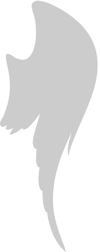Wings vector