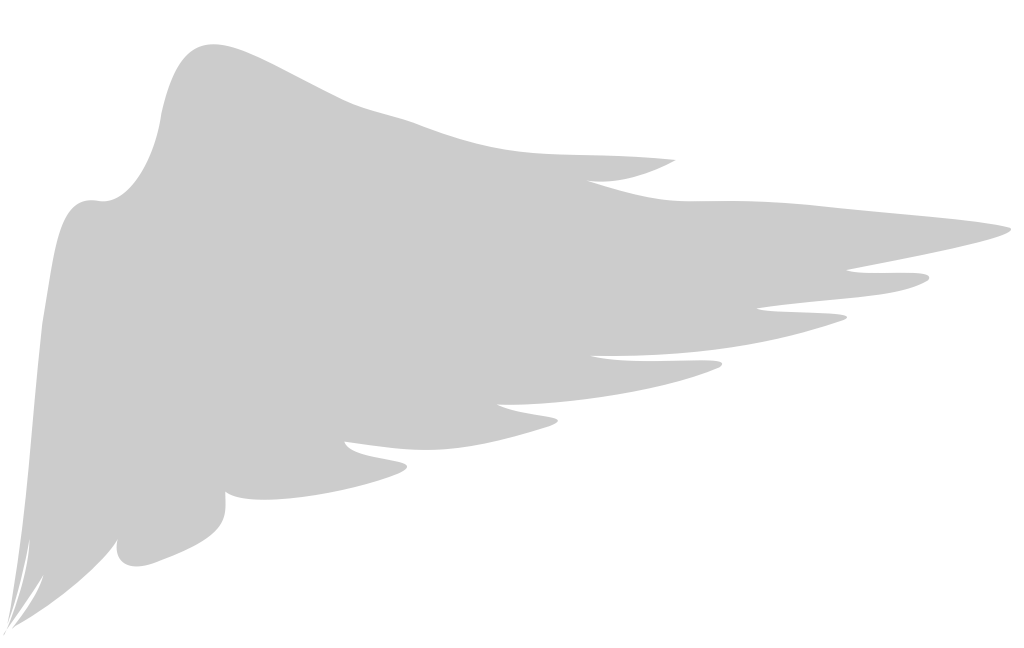 Wings vector
