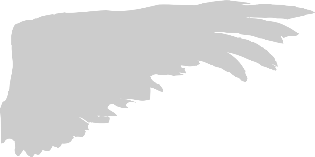 Wings vector