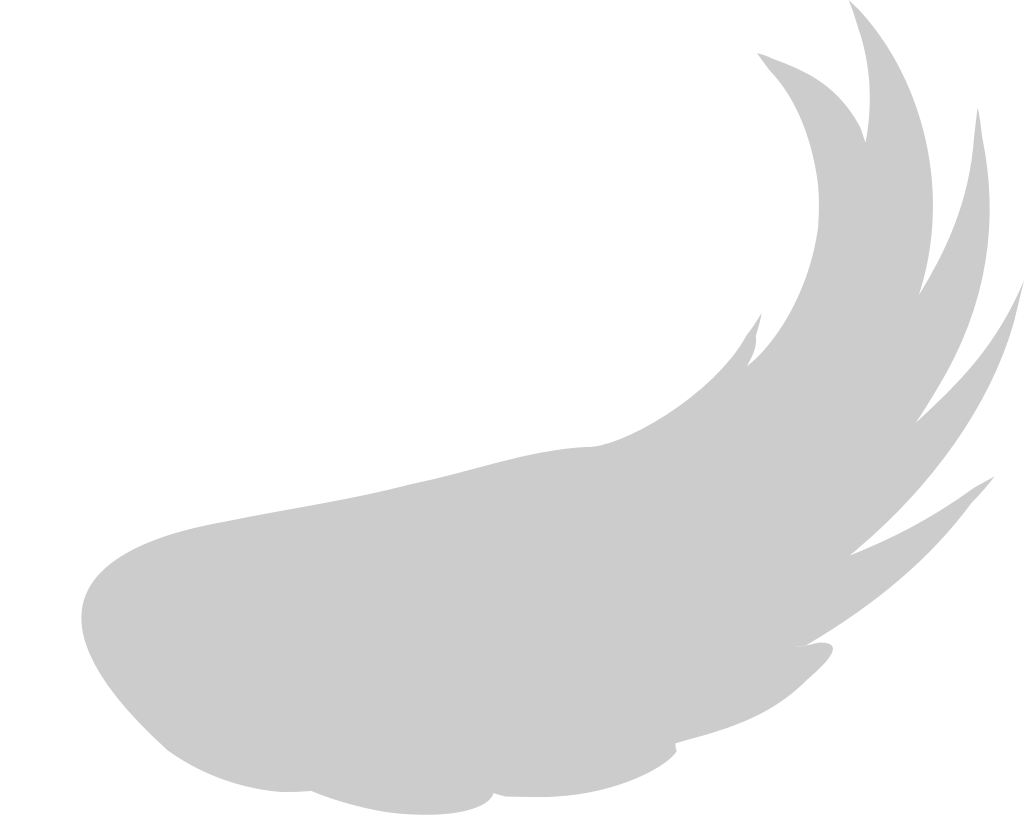 Wings vector