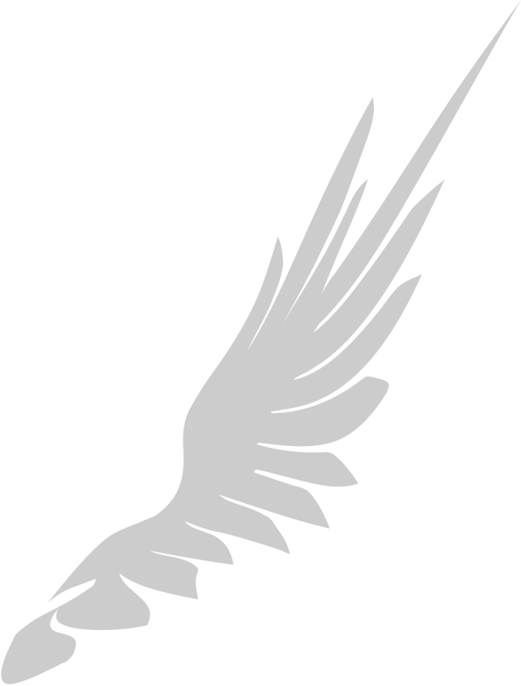 Wings vector