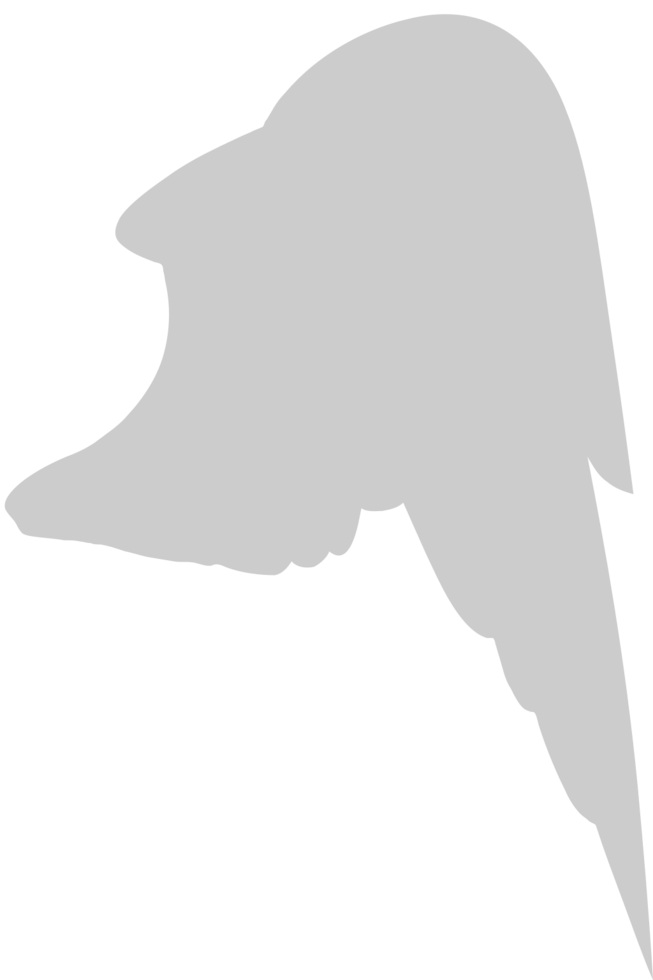 Wings vector