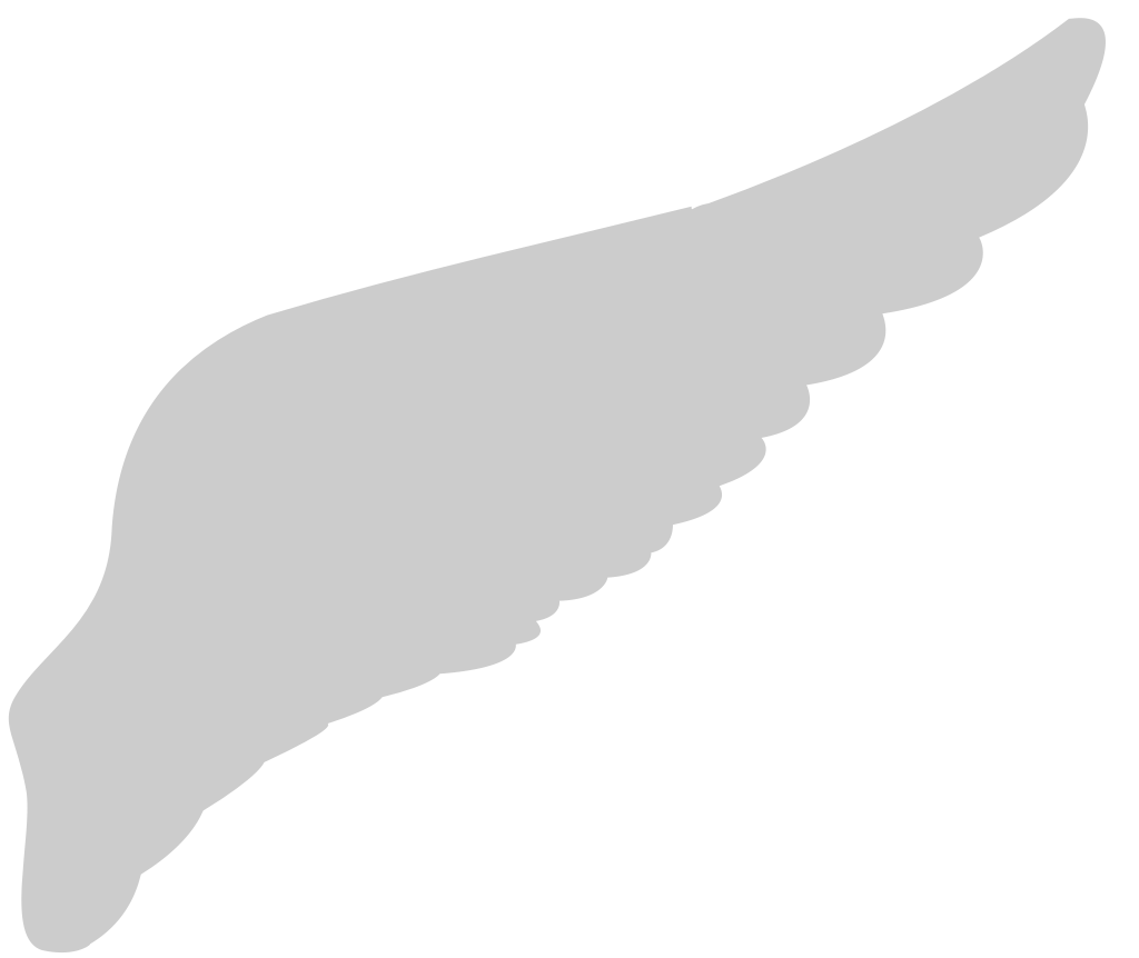 Wings vector