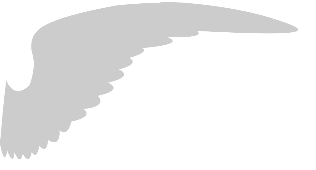 Wings vector