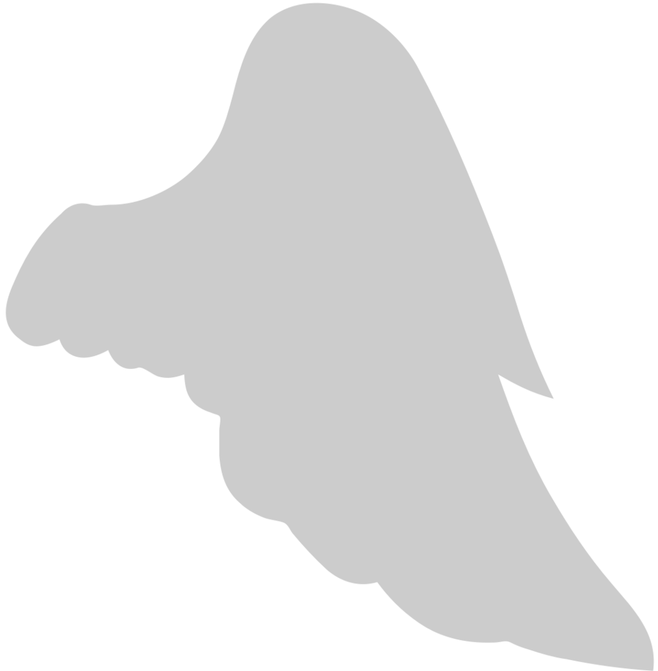 Wings vector