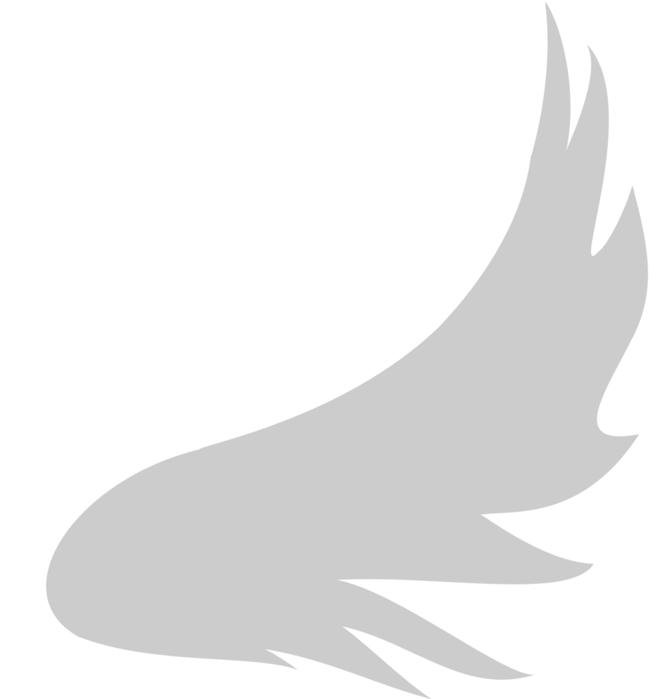 Wings vector