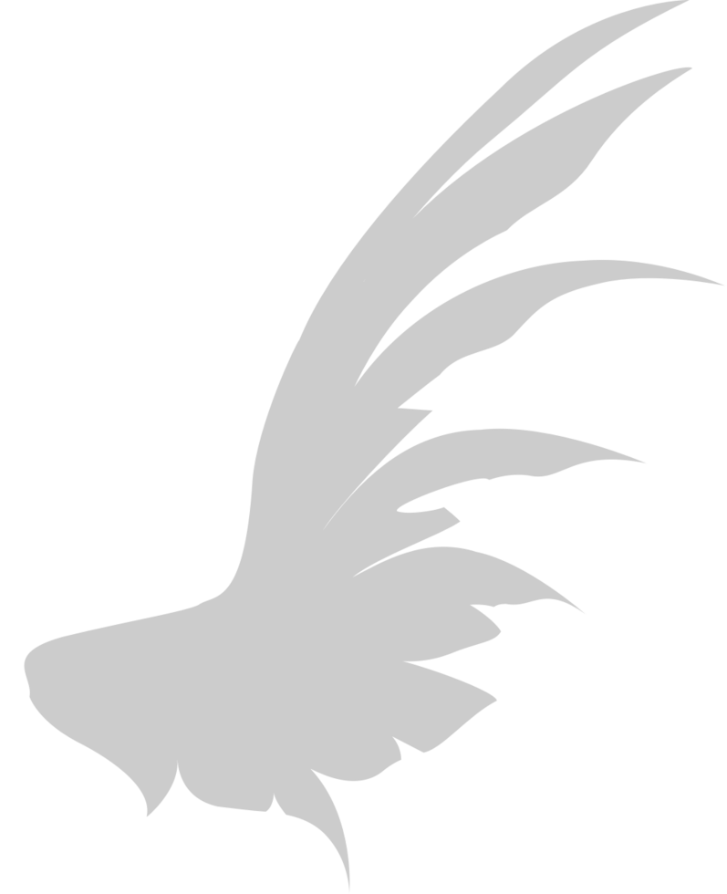 Wings vector
