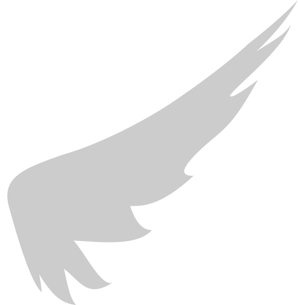 Wings vector