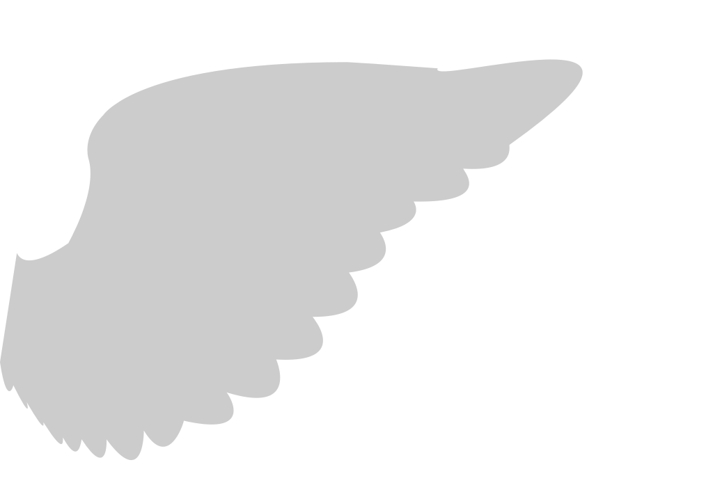 Wings vector