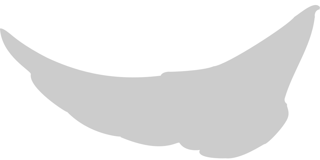 Wings vector