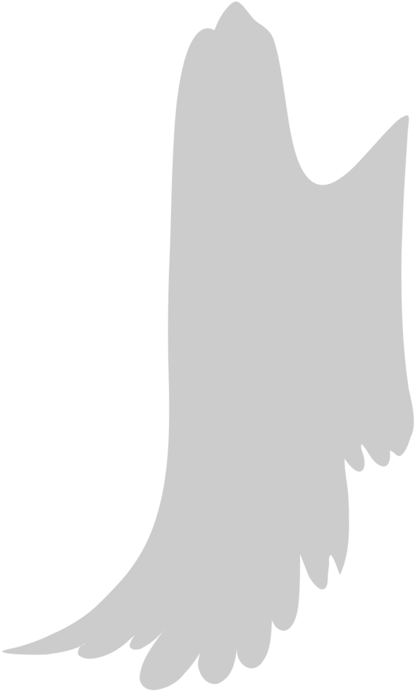 Wings vector