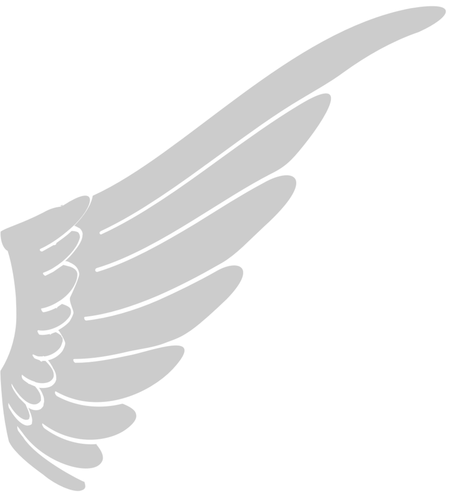 Wings vector