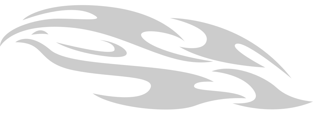 Tribal  vector