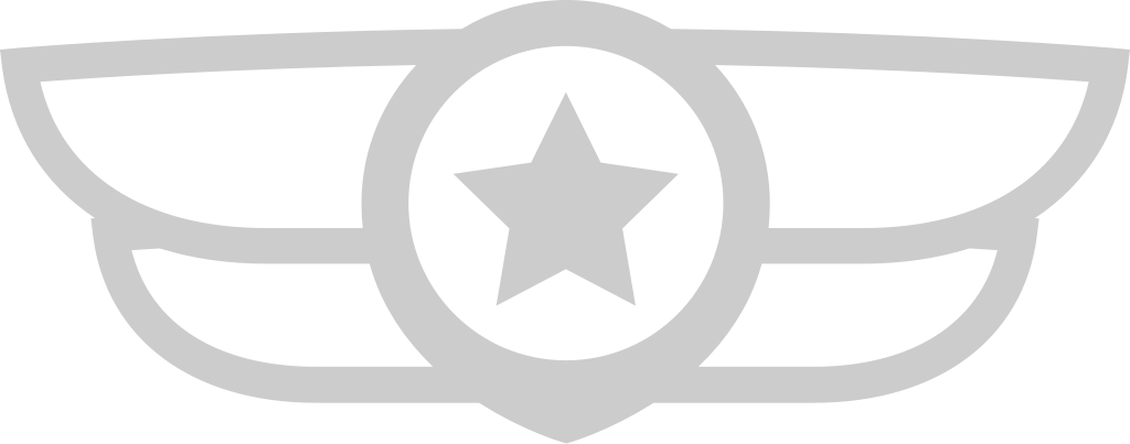 Wings military badge vector
