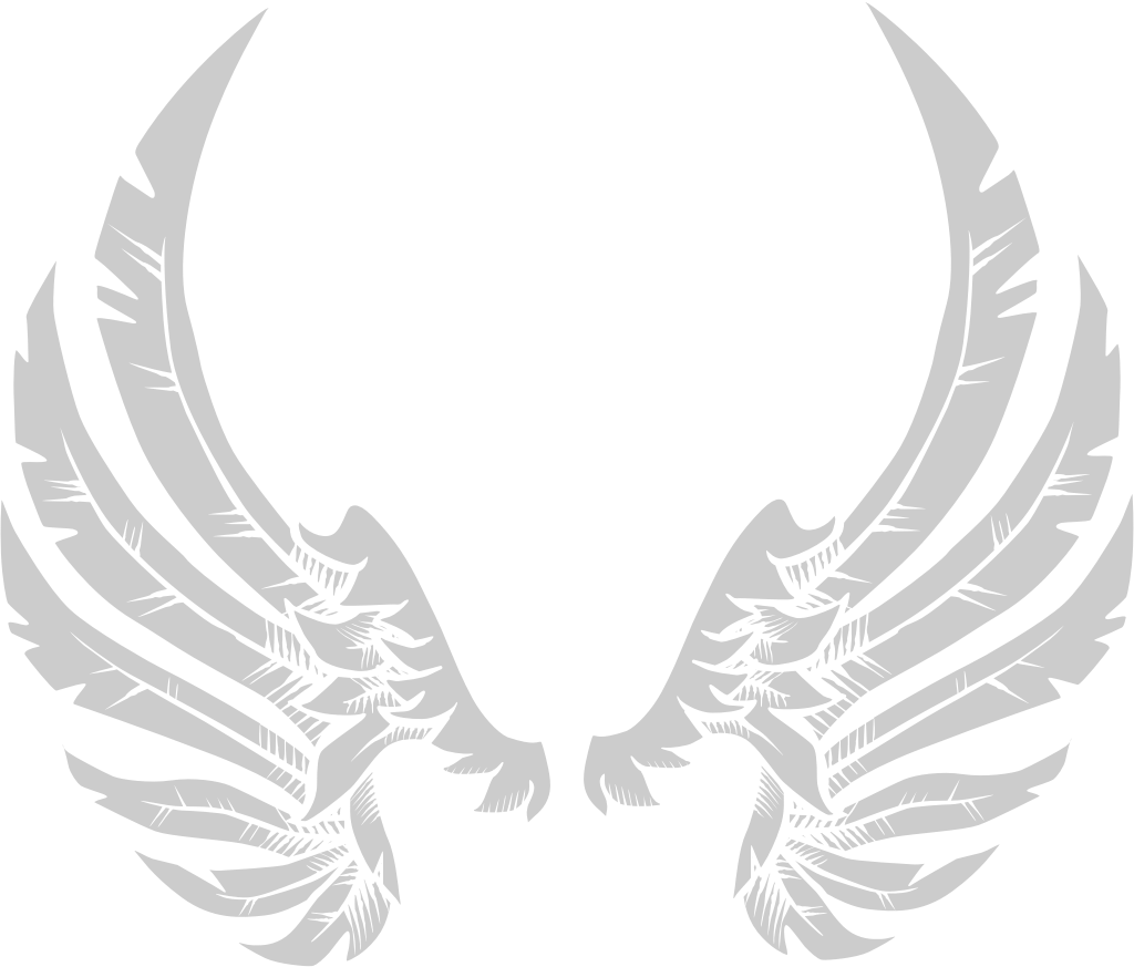 Wings angel vector