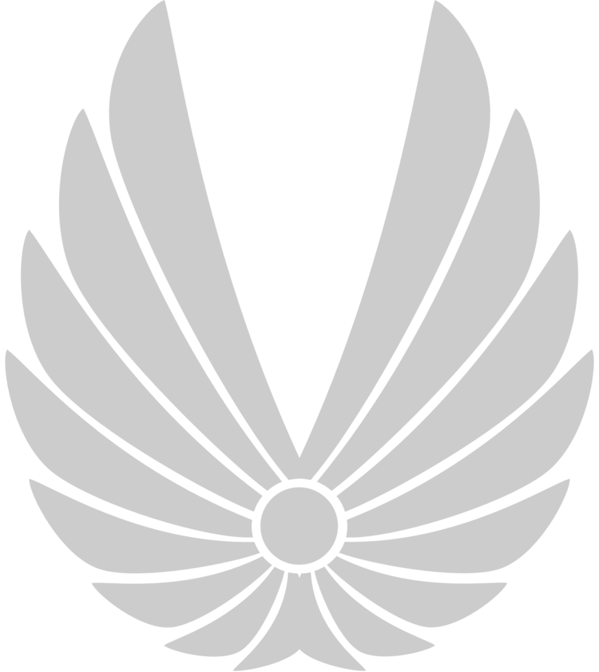 Wings logo vector
