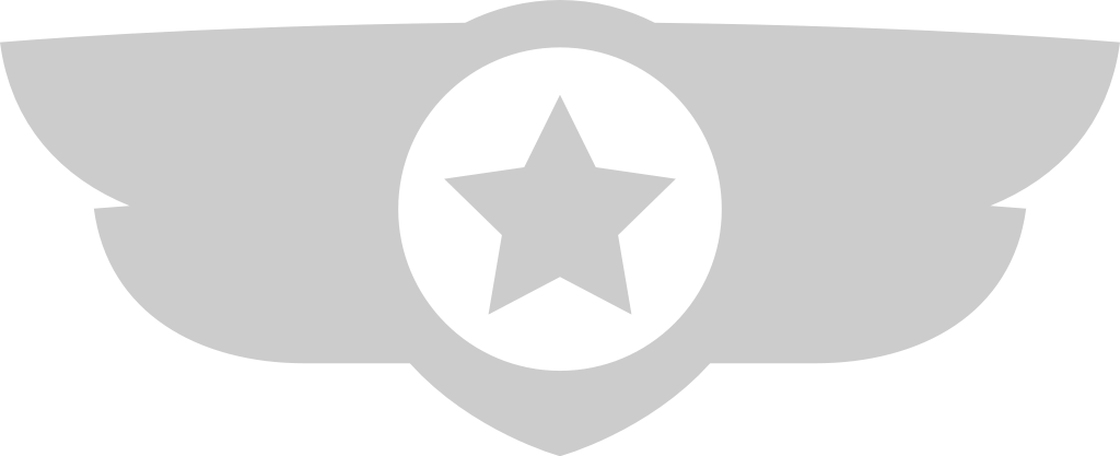 Wings military badge vector