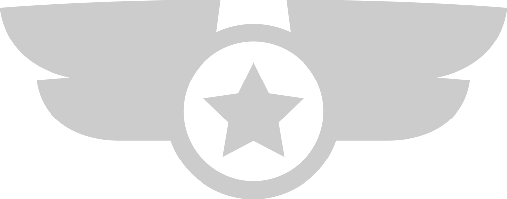 Wings military badge vector