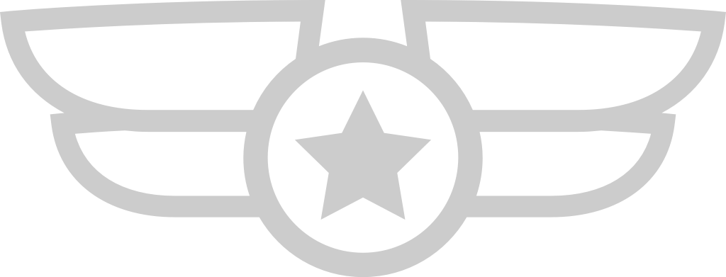 Wings military badge vector