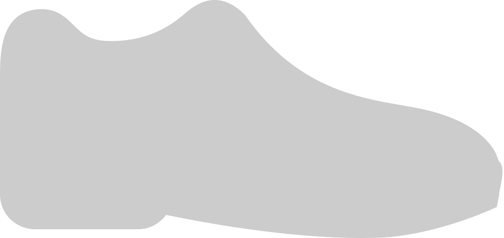 Shoe vector