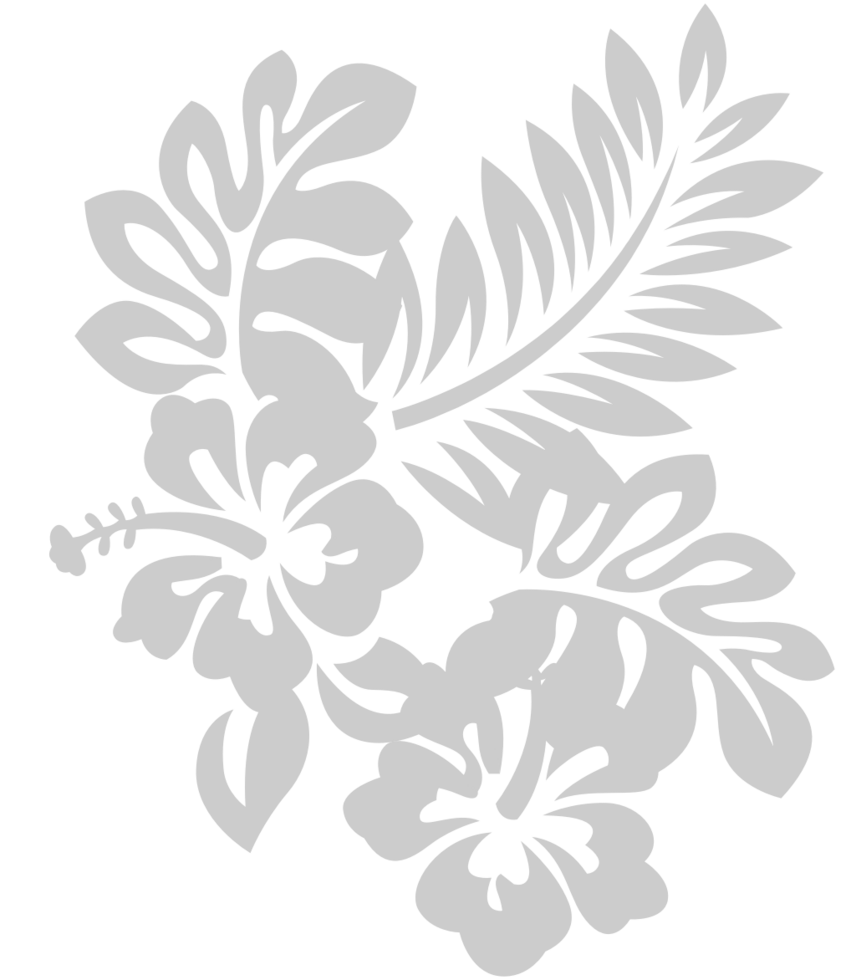 Flor Hibiscus vector