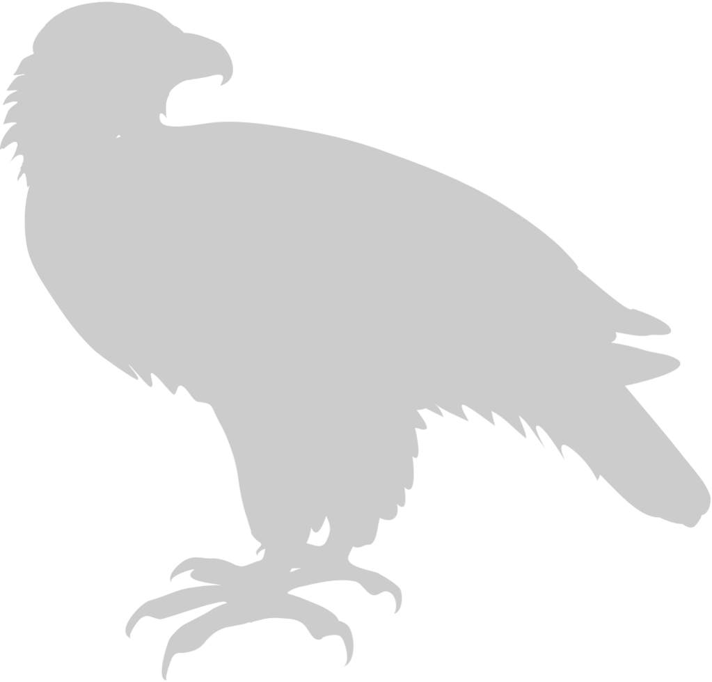 eagle vector