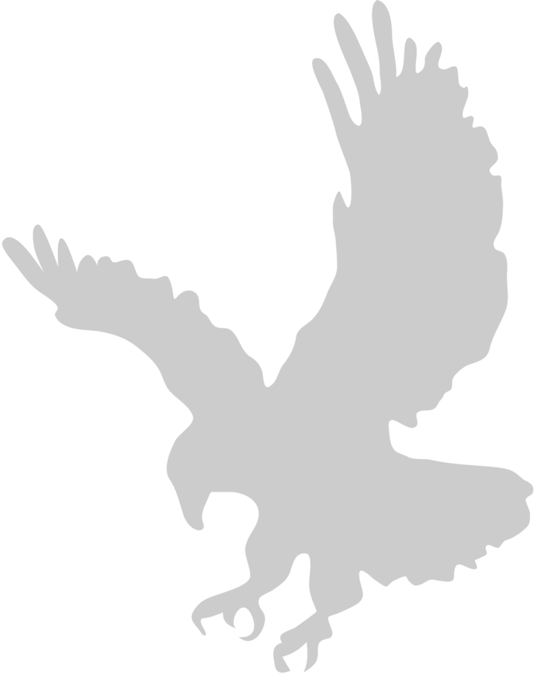 eagle vector