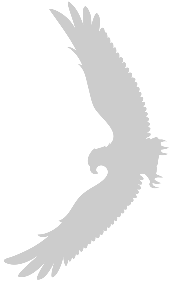 Eagle vector