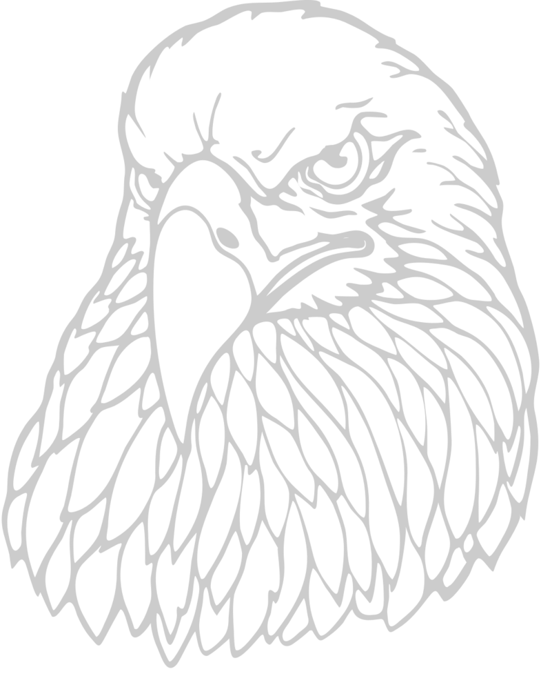 eagle head vector