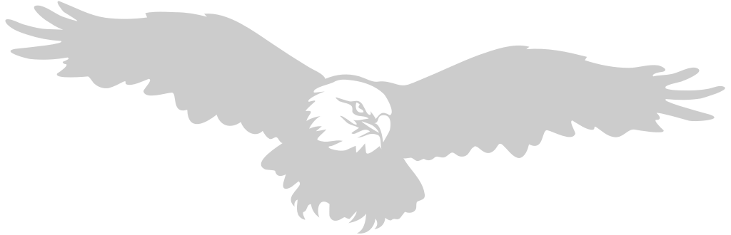 eagle vector