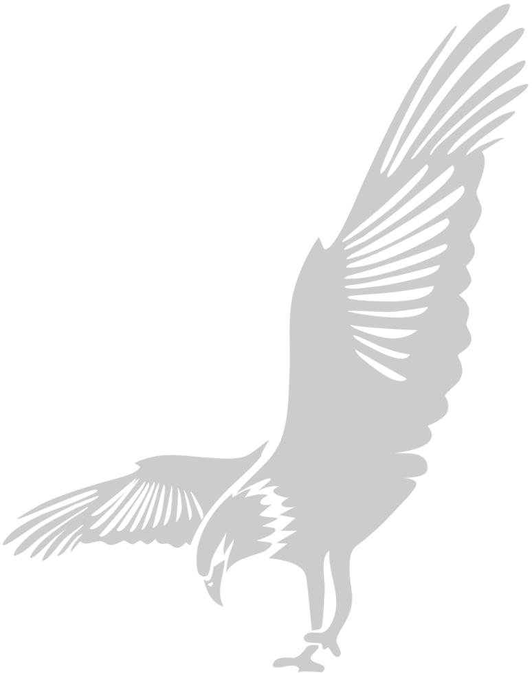 eagle vector