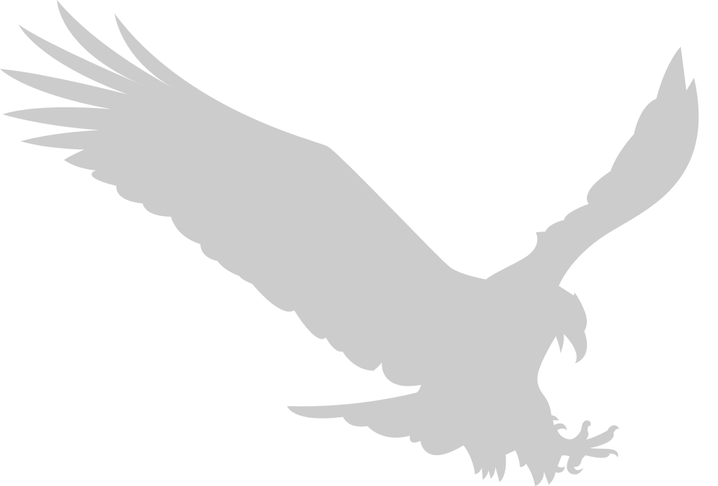 eagle vector