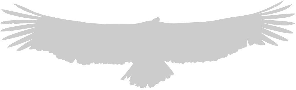 flying eagle vector