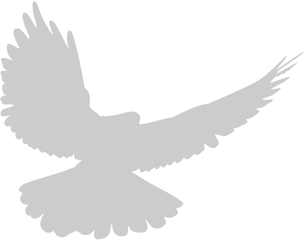 flying eagle vector
