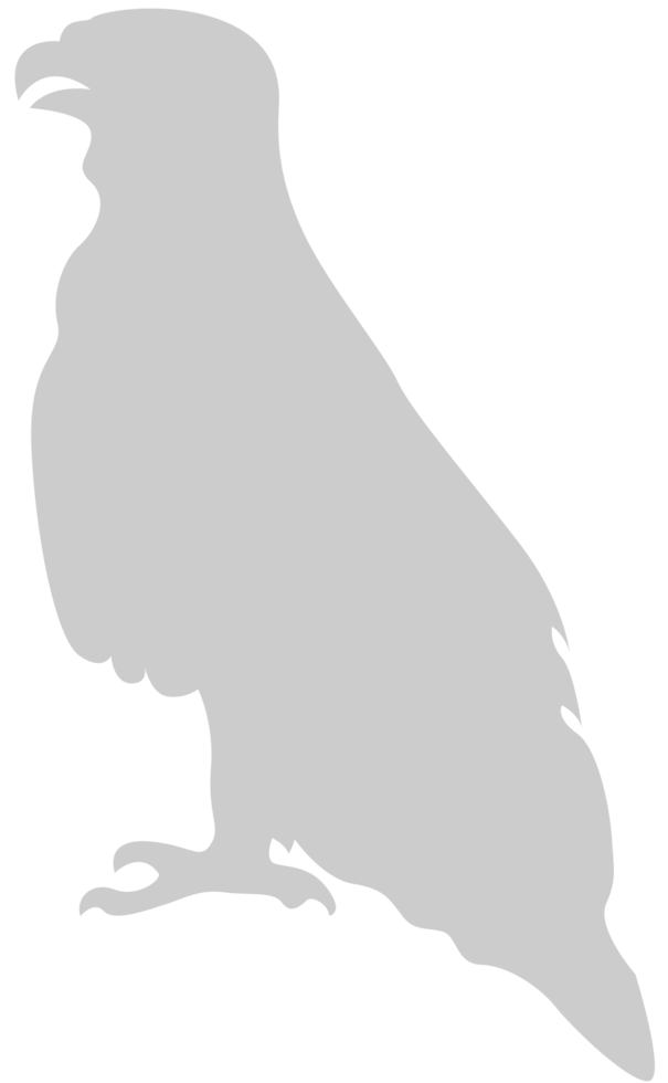 eagle vector