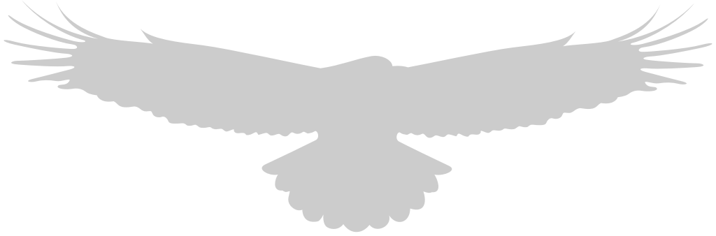 eagle vector