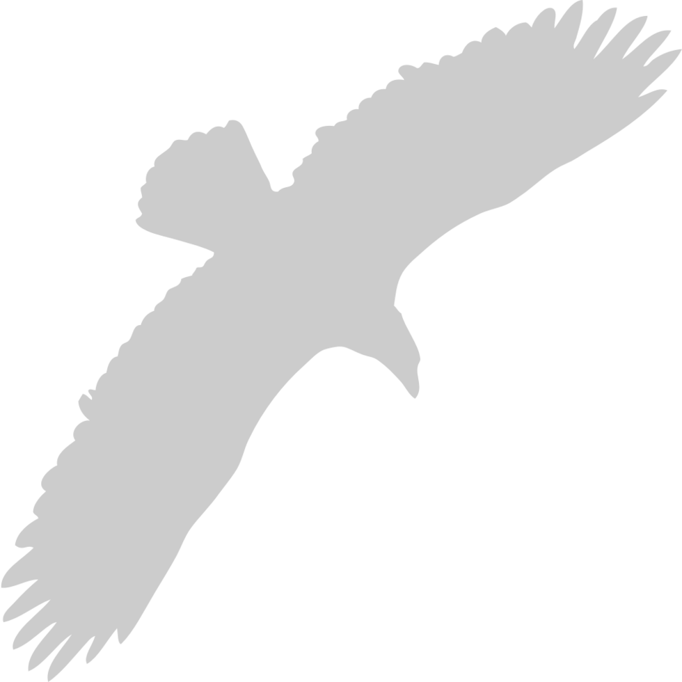 eagle vector