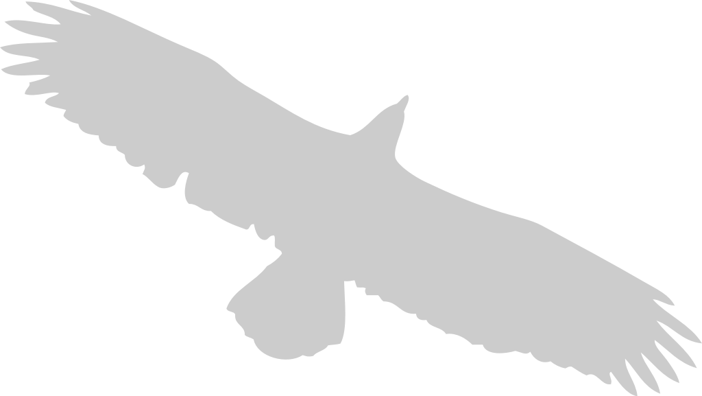 eagle vector
