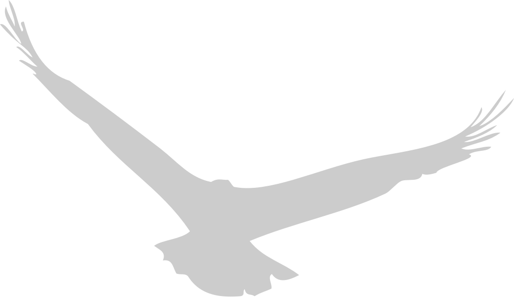 eagle vector