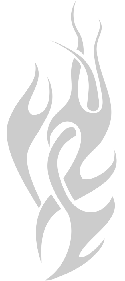 Fire vector