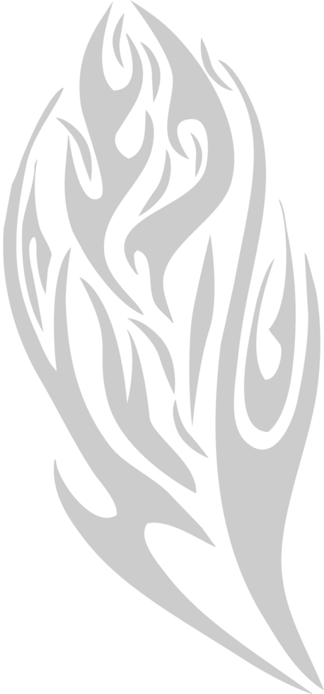 Fire vector